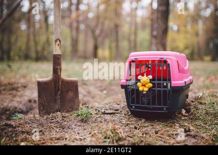 Grave of family's beloved pet, a mound sand. Dreary depressive plot, small animal puppy is buried in the forest, pet carier and toy on freshly dug gra Stock Photo