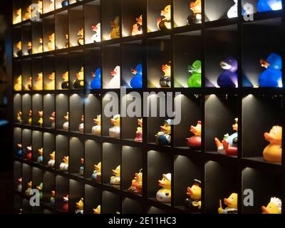 Colorful plastic ducks collection on honeycomb of shelves. Stock Photo
