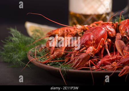 Boiled red crawfish, ready to eat with lemon slices and ice cubes on a dark background. Fresh seafood snack. Stock Photo