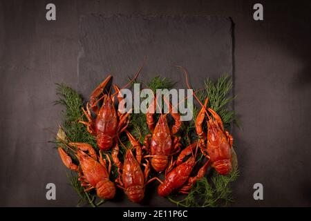 Boiled red crawfish, ready to eat with lemon slices and ice cubes on a black surface. Fresh seafood snack. Stock Photo