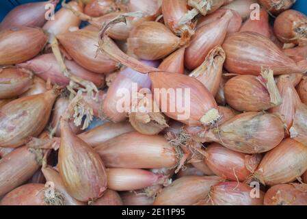 Top view, Heap of shallot vegetable. Stock Photo
