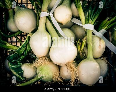 Bunches Of White Onions In A Box Stock Photo
