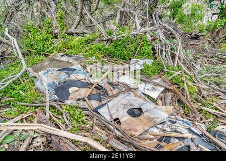 Discarded compact discs wastes on the forest ground in San Diego California Stock Photo