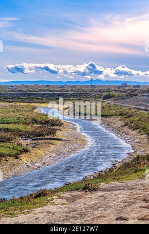 Wetlands and grassy land in Bolsa Chica Nature Reserve in Huntington Beach CA Stock Photo