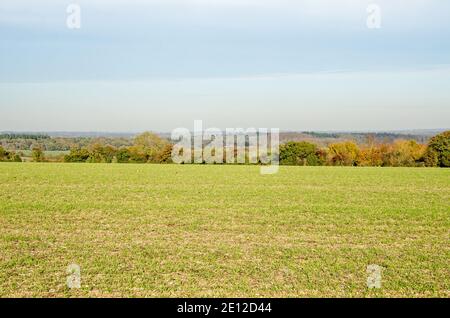 View from Wootton St Lawrence near Basingstoke looking across farmland on the chalk downs with the wind turbine of Reading in the far distance on a su Stock Photo