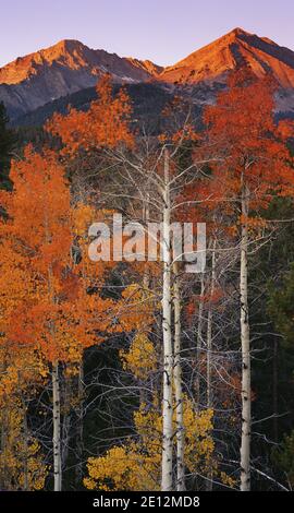 Sunrise at Hunter Creek Summit in Idaho's Salmon-Challis National Forest, USA Stock Photo