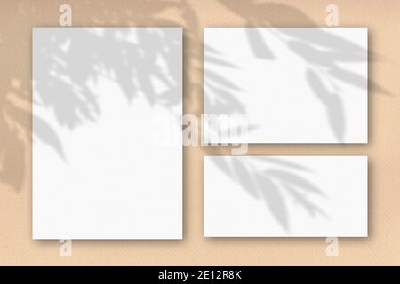 Several horizontal and vertical sheets of white textured paper on the background of a sand-colored wall. Mockup overlay with the plant shadows Stock Photo