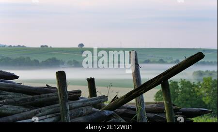 Early Morning Fog At The Begin Of Summer In Winegrowing District Rhinehesse, Rhineland-Palatinate Stock Photo