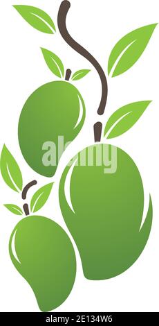 Mango in flat style. Mango vector logo. Mango icon. Stock Vector