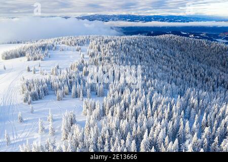 Aerial view of a snow covered forest on Kope to Crni vrh, Slovenia, taken by drone Stock Photo