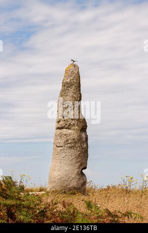 Menhir Cam Louis - megalithic monument near Plouescat in Brittany, France Stock Photo