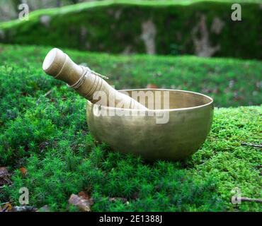 A singing bowl placed on the green moss in nature Stock Photo