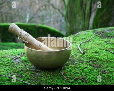 A singing bowl placed on the green moss in nature Stock Photo