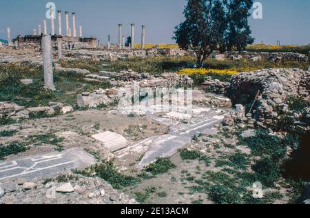 Thuburbo Majus (Maius) - Archaeological Site in northern Tunisia, ruins Roman settlement, large Roman site in North Africa, near Carthage. View on Capitol, excavation of mosaics in progress. Archival scan from a slide. April 1976. Stock Photo