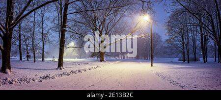 Panoramic view of evening winter landscape. View of covered in snow trees in park and street lights. Stock Photo