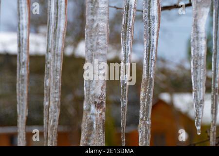 Suckling on the street in winter cold 2021 Stock Photo