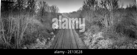 Twin rail track going off into the horizon. Stock Photo