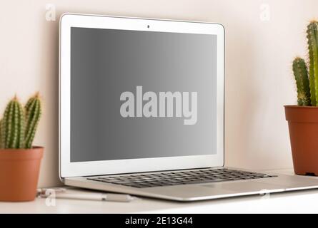 Compact silver laptop with turned off black screen, sitting on the shelf with two cactuses in brown pots. Viewed in close-up from the angle Stock Photo