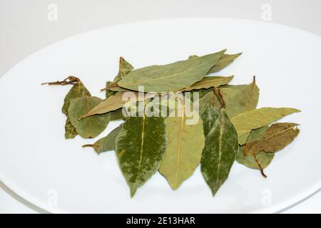 Dried bay leaves on a white plate on the table Stock Photo