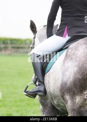 A close up of the back of a grey horse and rider. Stock Photo