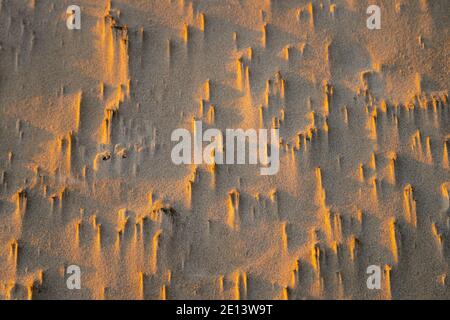 Abstract view of natural sand dune formation at the beach. Curly sand wave pattern closeup. Beautiful sandy background. Nobody Stock Photo