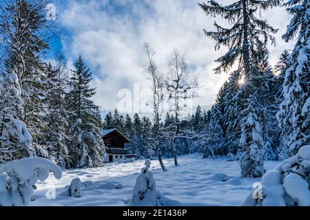 Frisch verschneite Landschaft mit Haus am Waldrand. snowy landscape with a holiday home at the edge of forest, a sunny day. winter wonderland Austria