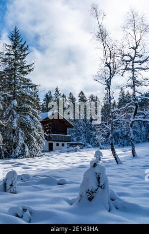 Frisch verschneite Landschaft mit Haus am Waldrand. snowy landscape with a holiday home at the edge of forest, a sunny day. winter wonderland Austria