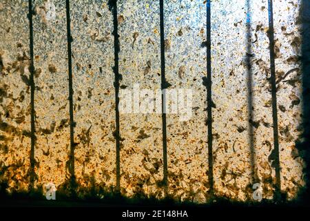 Dirty Window Glass . Muddy Window from the chicken coop Stock Photo