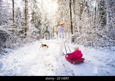 Mother pulling baby on a sled through winter forest. Stock Photo