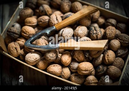 Close-up From Walnuts In A Box With A Nutcracker Stock Photo