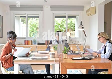 View of co-workers in open space office protected by plexiglas Stock Photo