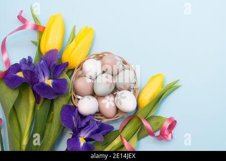 Easter colourful eggs with yellow tulips and violet narcissus on blue background with copy space Stock Photo