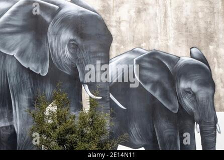 Elephants by Kiwi artist Owen Dippie. Detail from a street art mural of 4 elephants in total. Large building canvas work in Christchurch, New Zealand. Stock Photo
