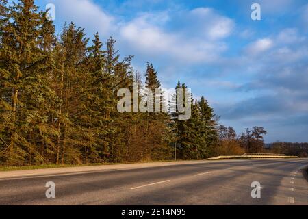 Golden hour sunlight on green pine trees. A blue sky with patchy white clouds in the background. Picture from Scania county, southern Sweden Stock Photo