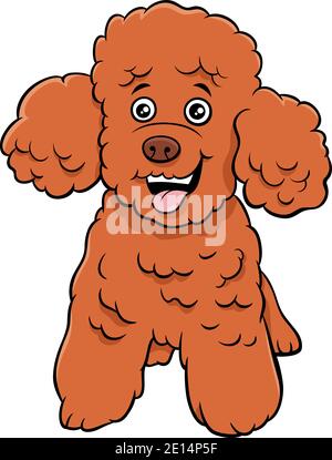 Cartoon illustration of toy or miniature poodle purebred dog animal character Stock Vector