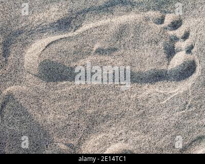 Texture background Footprints of human feet on the sand near the water on the beach Stock Photo