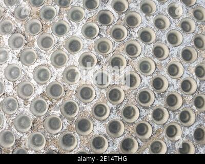 Ceiling built from round glassy bricks or panels  for directing the explosion upwards in a workshop with high pressure production. Stock Photo