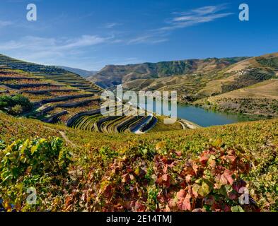 Portugal, the Douro Valley between Peso da Regua and Pinhao Stock Photo
