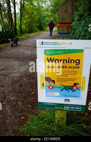 Warning sign of Blue-Green Algae, and not to allow dogs to swim in the Lochan, Glencoe Stock Photo