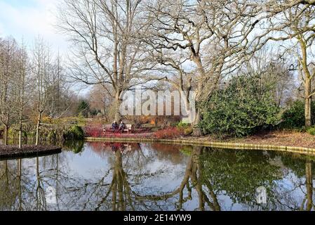 Two people sitting on a bench by the lake  in winter landscape at Wisley RHS gardens Surrey England UK Stock Photo