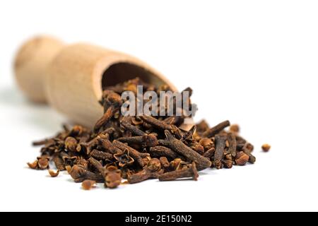 Cloves on a spice scoop Stock Photo
