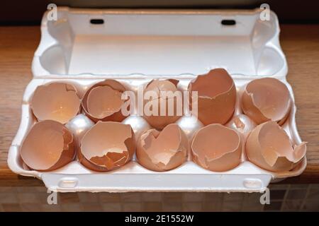 Cracked Eggs Broken Eggshells in Box Package Stock Photo