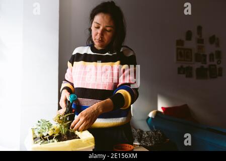 young woman watering plants in home made garden during lock down. taking care of plants at home spraying water with natural sun light Stock Photo
