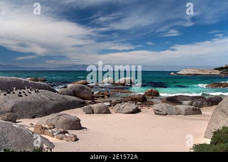 Boulders Beach is located on the Cape Peninsula, South Africa. It is dotted with granite boulders and supports a colony of African penguins. Stock Photo