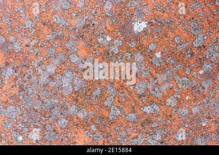 Texture on terracotta tiles left in the rain with the formation of mold spots of various colors Stock Photo