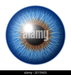 Vector eye in graphic style Stock Vector