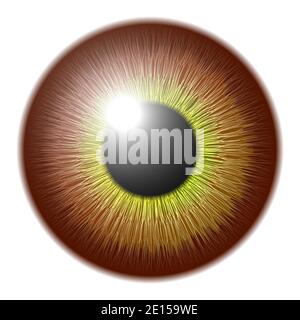 Vector eye in graphic style Stock Vector