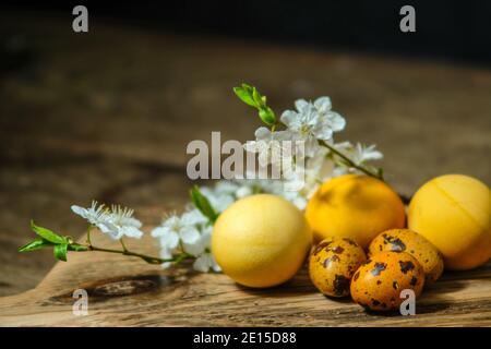 Still life of Easter eggs and branches of blossoming cherry on a black background. Dark photo and copy space. Stock Photo