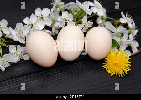 Bio produce. Organic hen eggs. Composition of blooming tree branches Stock Photo