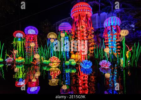 Colorful jellyfish-shaped lanterns glow over water at night during a light festival Stock Photo